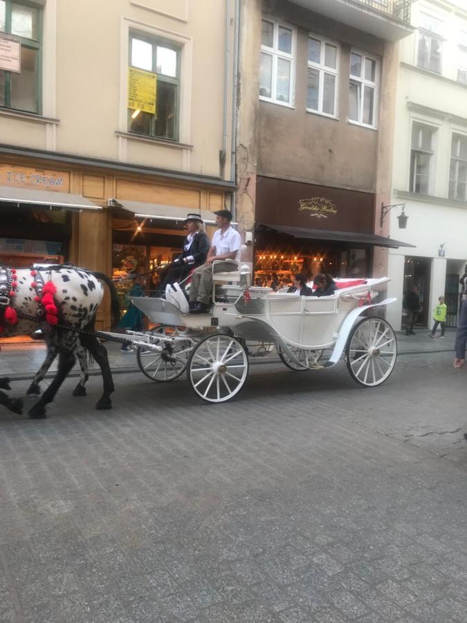 Filin Apartment Krakow Dış mekan fotoğraf